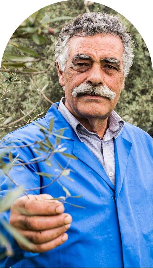 Manolis Vassilakis