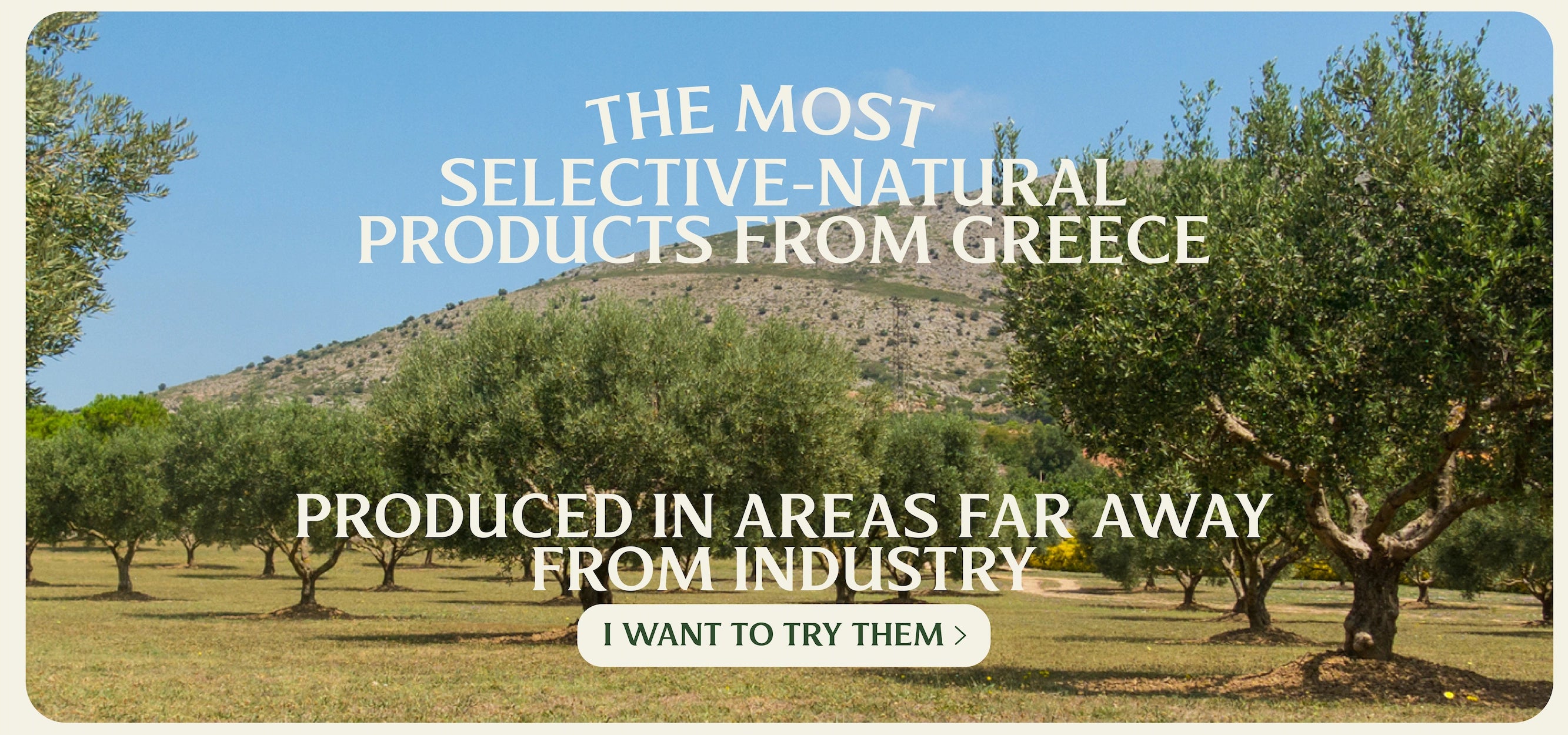 Olive tree and natural products from Greeceslider_item_mMQFpd